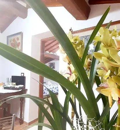 Mansarda Degli Ulivi Apartment Rigomagno