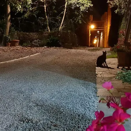 Mansarda Degli Ulivi * Rigomagno
