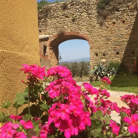 Mansarda Degli Ulivi Appartement