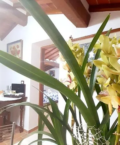 Mansarda Degli Ulivi Apartment Rigomagno