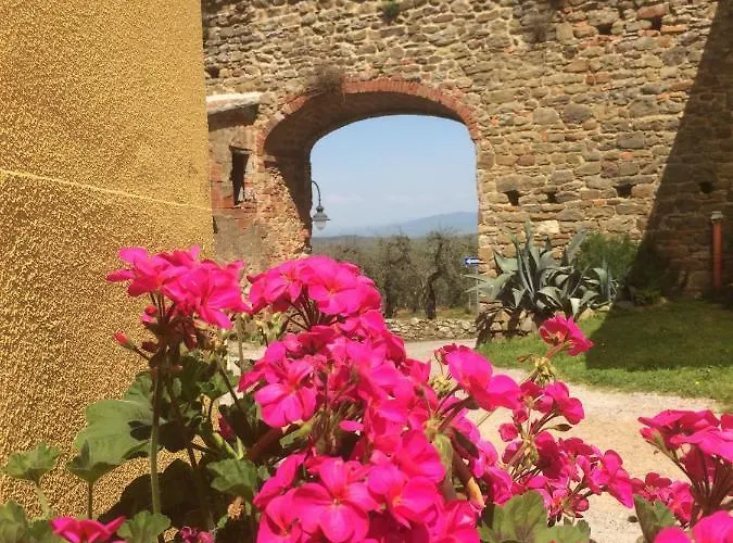 Mansarda Degli Ulivi Apartment