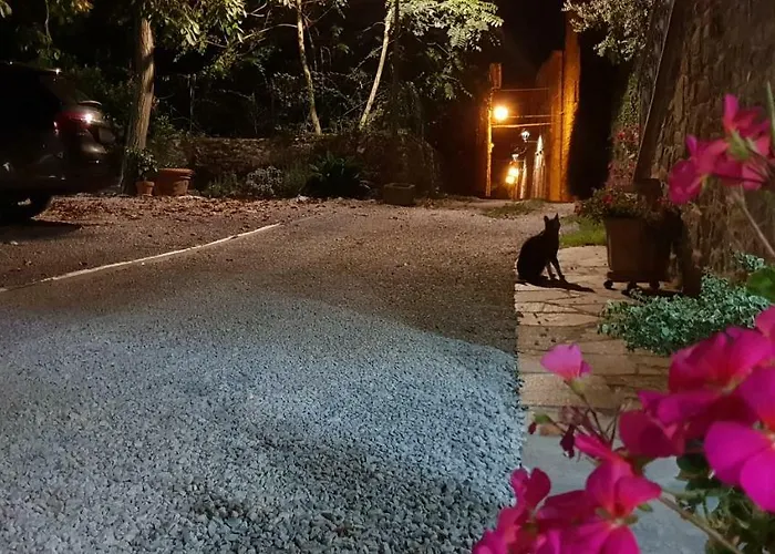 Mansarda Degli Ulivi * Rigomagno